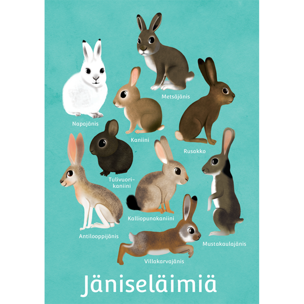 Eläinpostikortit - - Muksukaskauppa.fi - - - - Muksukaskauppa.fi