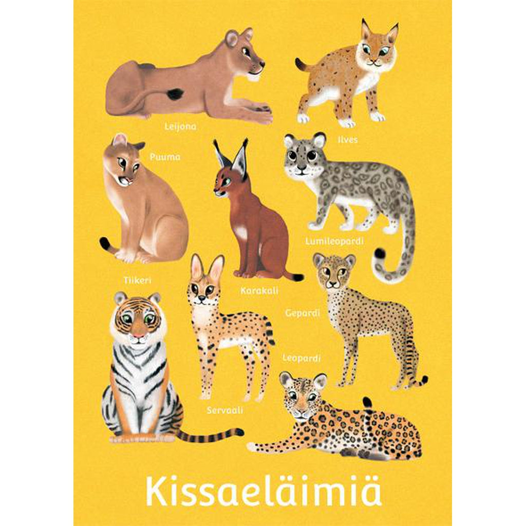 Eläinpostikortit - - Muksukaskauppa.fi - - - - Muksukaskauppa.fi