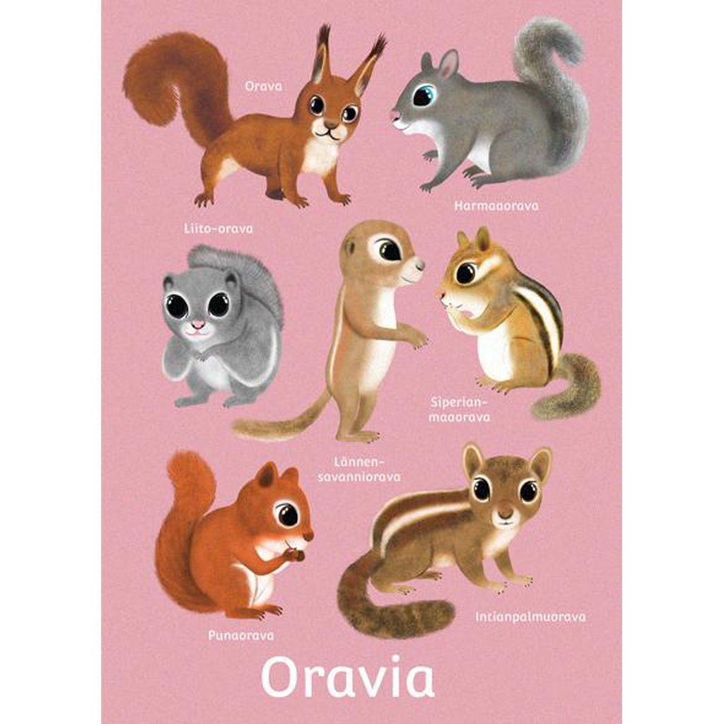 Eläinpostikortit - - Muksukaskauppa.fi - - - - Muksukaskauppa.fi